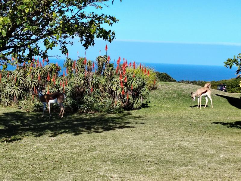 5 Bedroom Property for Sale in Mossel Bay Golf Estate Western Cape